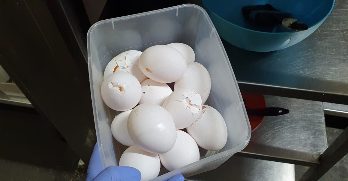 ביצים שנתפסו בעיר