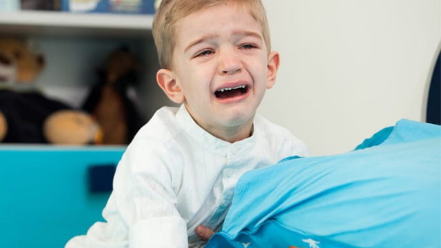 מסכת טרור והתעללות מילולית מסכת טרור והתעללות מילולית